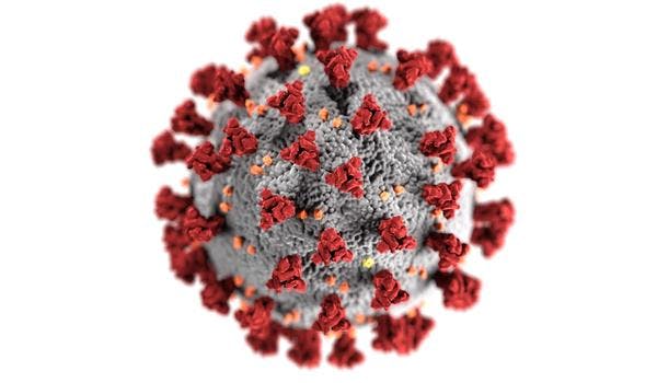 Koronaviruset illustrert